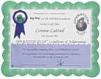 award.jpg (3837 bytes)
