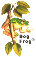 cbf-7a.gif (11200 bytes)